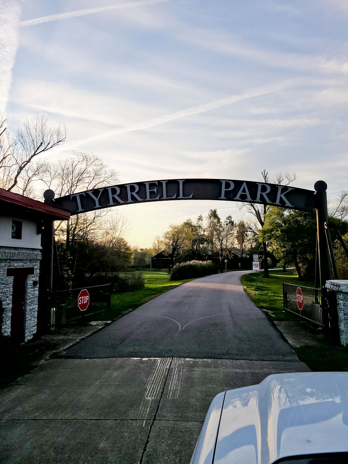 Photo: tyrrell park golf course