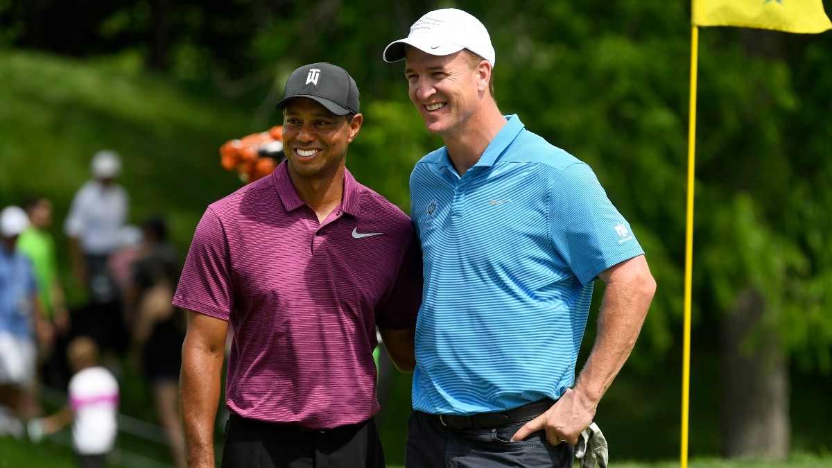 Photo: bet sheet for tiger and mickelson golf maatch