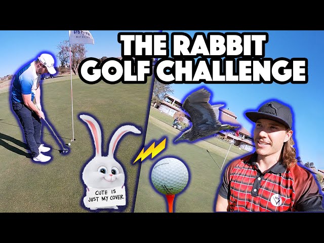 Photo: golf betting game rabbit