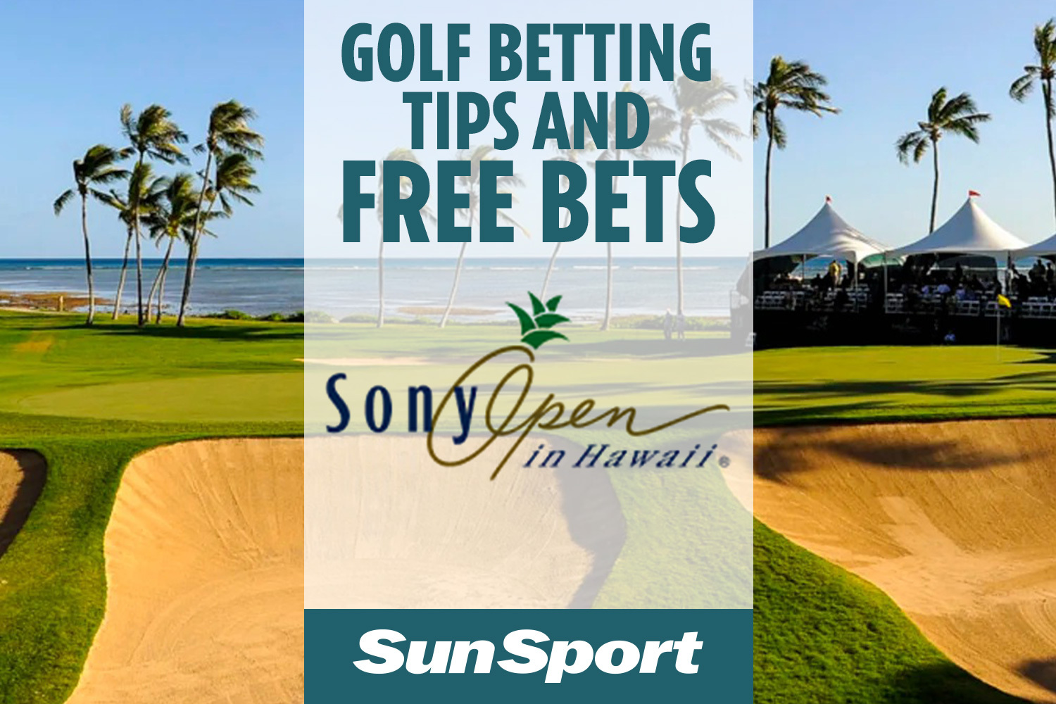 Photo: sony open golf betting tips